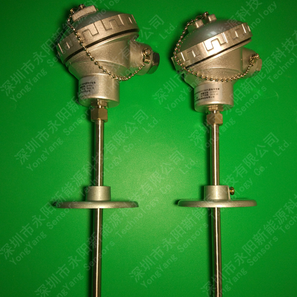 活動(dòng)式裝配式法蘭PT100鉑熱電阻